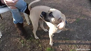 10681 ass porn videos